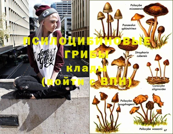 прущая мука Балахна