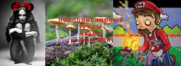 прущая мука Балахна