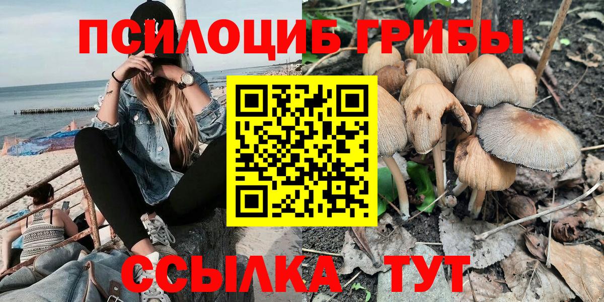 Псилоцибиновые грибы прущие грибы  Вход с VPN  Сердобск  Галлюциногенные грибы мицелий 